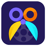 Aiseesoft Video Editor Pro Aiseesoft Video Editor for Win