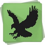 Black Bird Cleaner logo