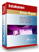 DataNumen Access Repair Logo DataNumen Access Repair