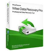 wise data recovery pro logo Wise Data Recovery Pro (1 Year / 1 PC)