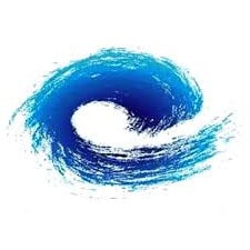 Salty Brine logo