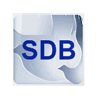 Simple Data Backup logo