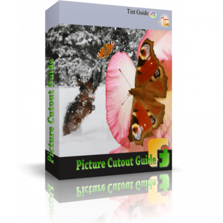 Tint Guide Picture Cutout Guide