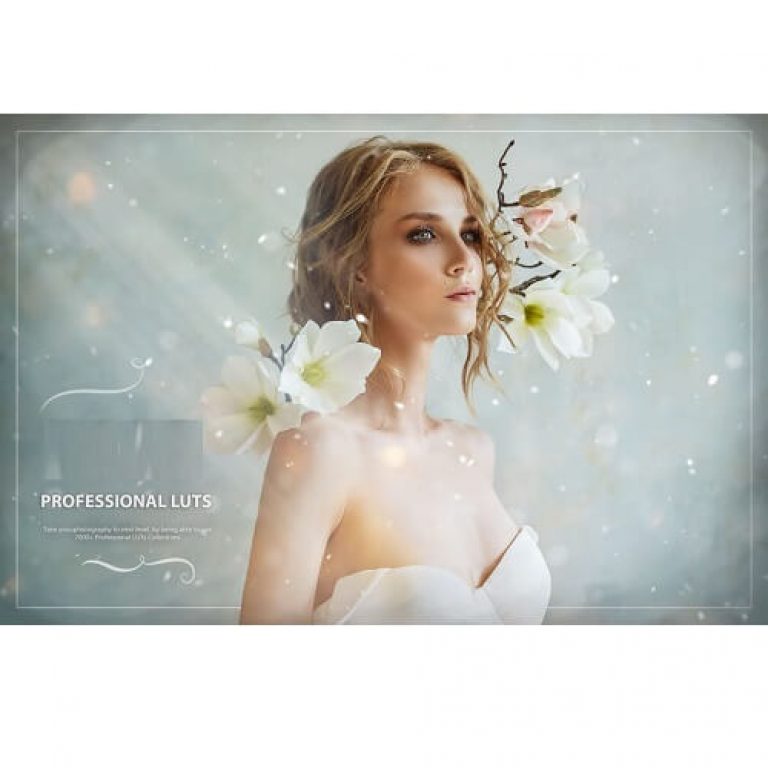 Eldamar Studio Professional LUTs