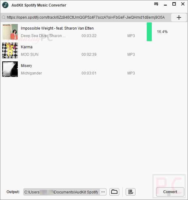 Audkit Spotify Music Converter Screenshot