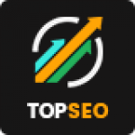 topseo seo digital marketing wordpress theme