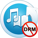 Leawo Prof. DRM for Windows