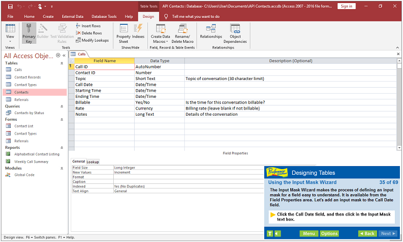 professor teaches web office 2019 access