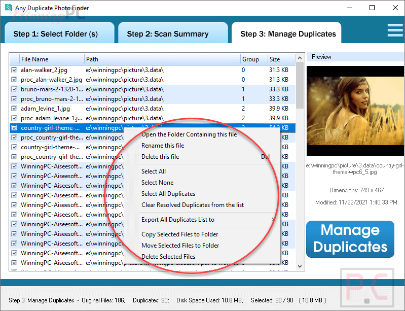 manage duplicates any duplicate photo finder manage duplicates any duplicate photo finder