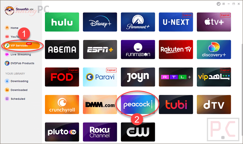 streamfab peacock downloader vip services streamfab peacock downloader vip services