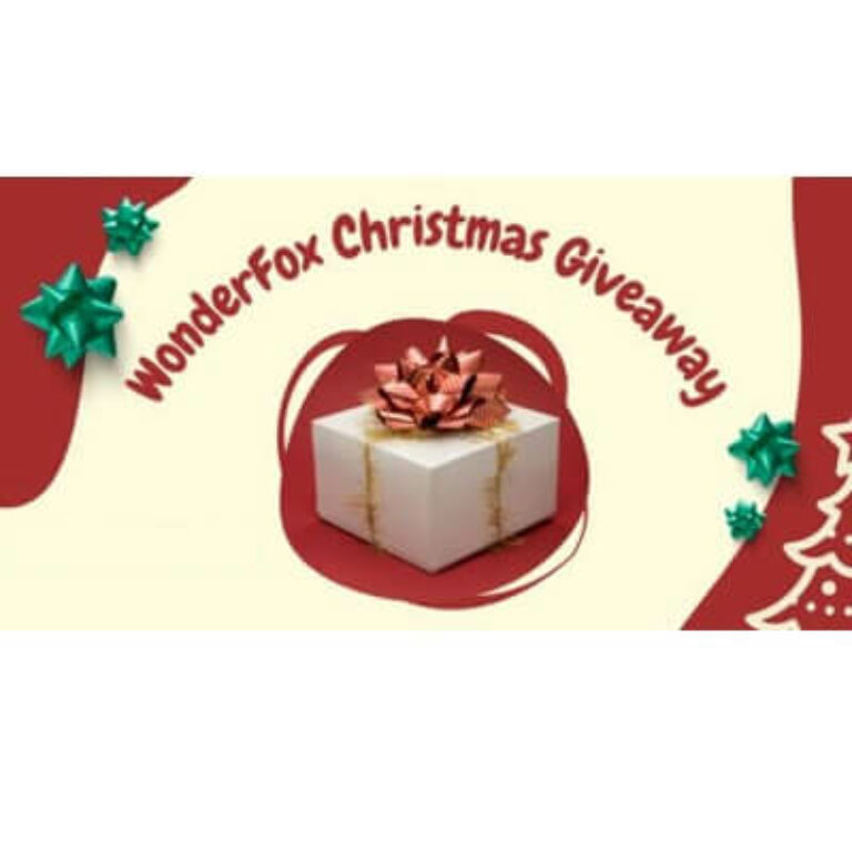 WonderFox Christmas Giveaway 2024