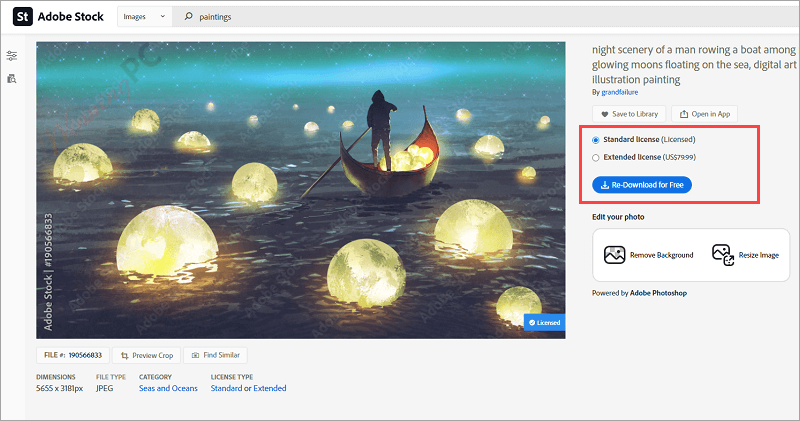 adobe stock download image adobe stock download image