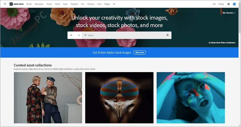 adobe stock screenshot Adobe Stock Screenshot