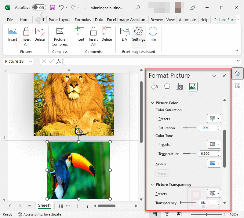 editing excel image assistant