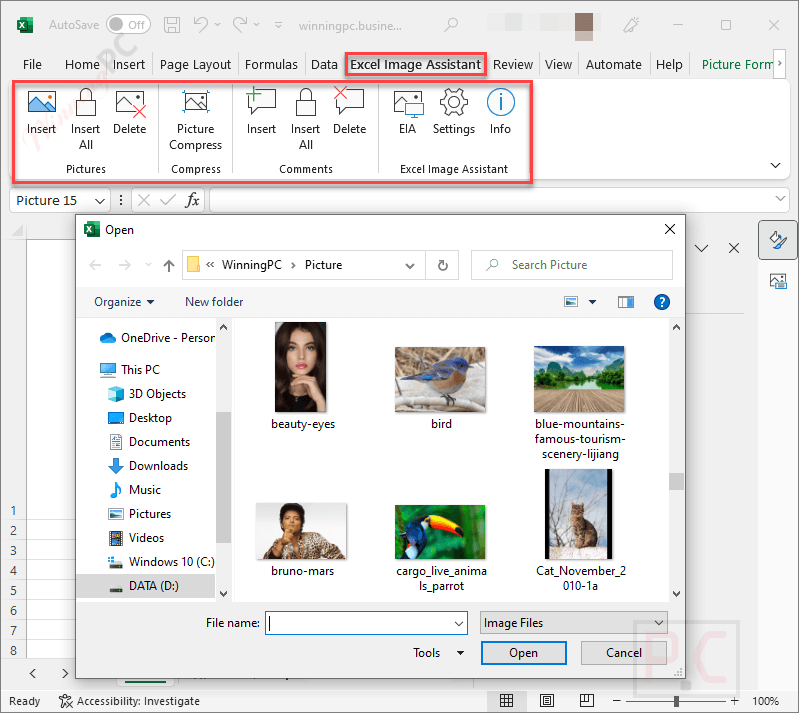 Excel Image Assistant Coupon Code Screenshot