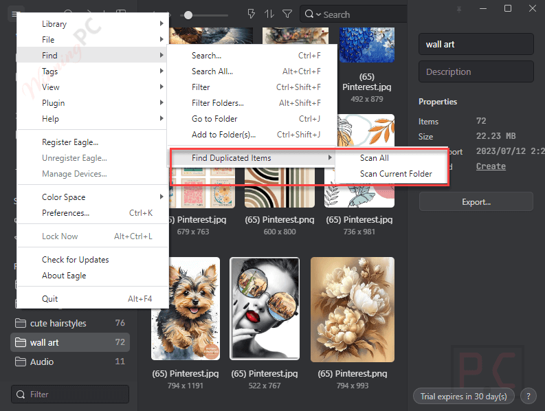 find duplicated items eagle cool