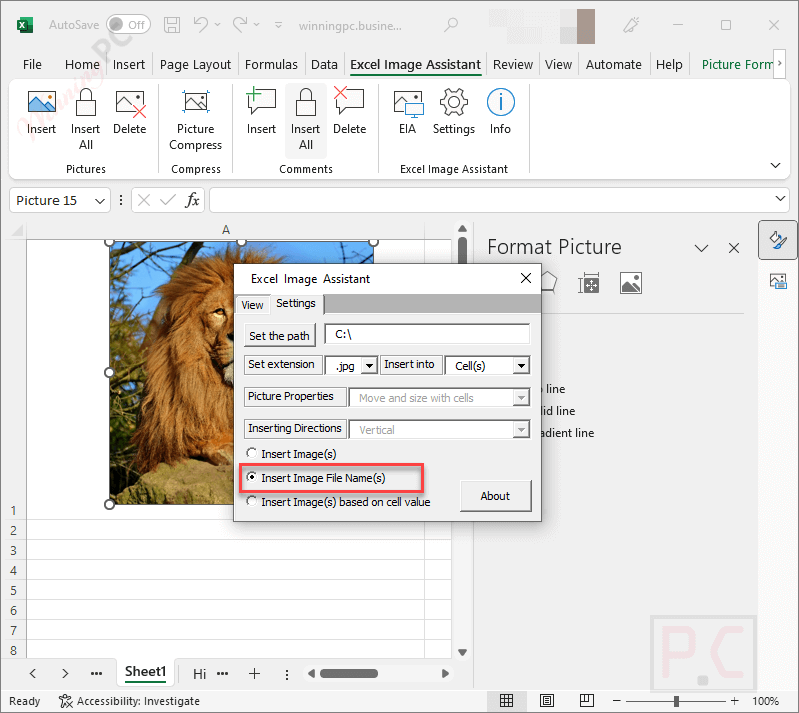 insert image file name excel image assistant