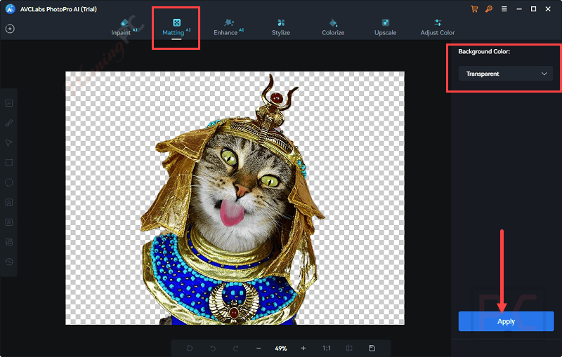 mattings avclabs photopro ai mattings avclabs photopro ai