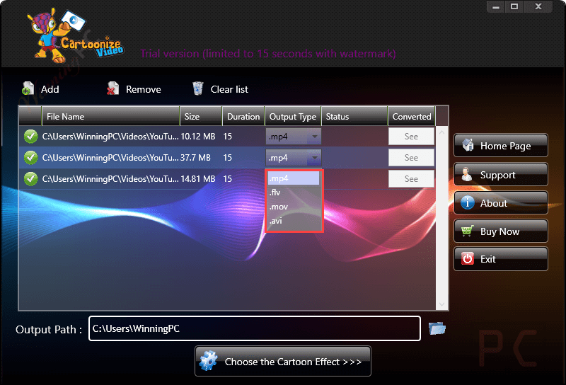 video cartoonizer desktop software output format