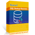 Kernel SQL Backup Recovery - Home User License