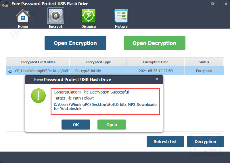 decryption amazing password protect usb flash drive