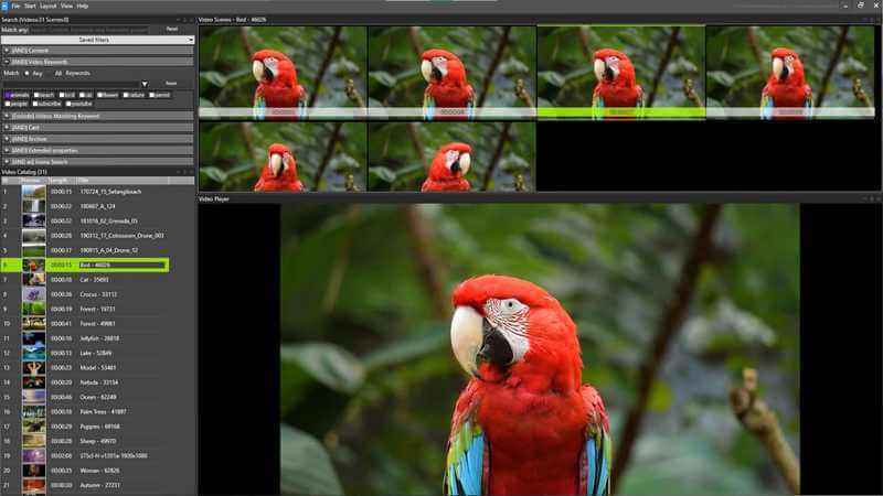 fast video cataloger search screenshot fast video cataloger search screenshot
