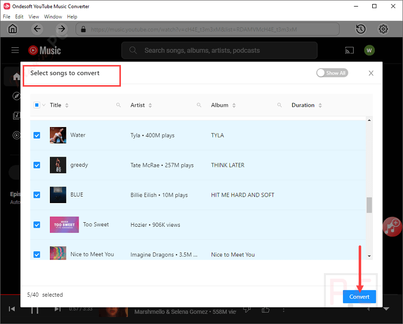 select songs ondesoft youtube music converter select songs ondesoft youtube music converter