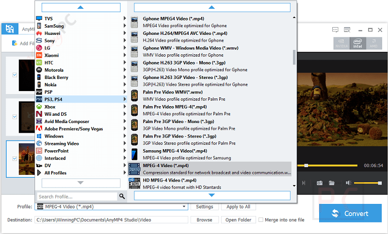 formats anymp4 video converter