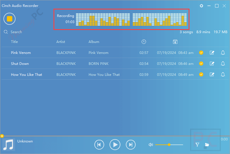 recording cinch audio recorder