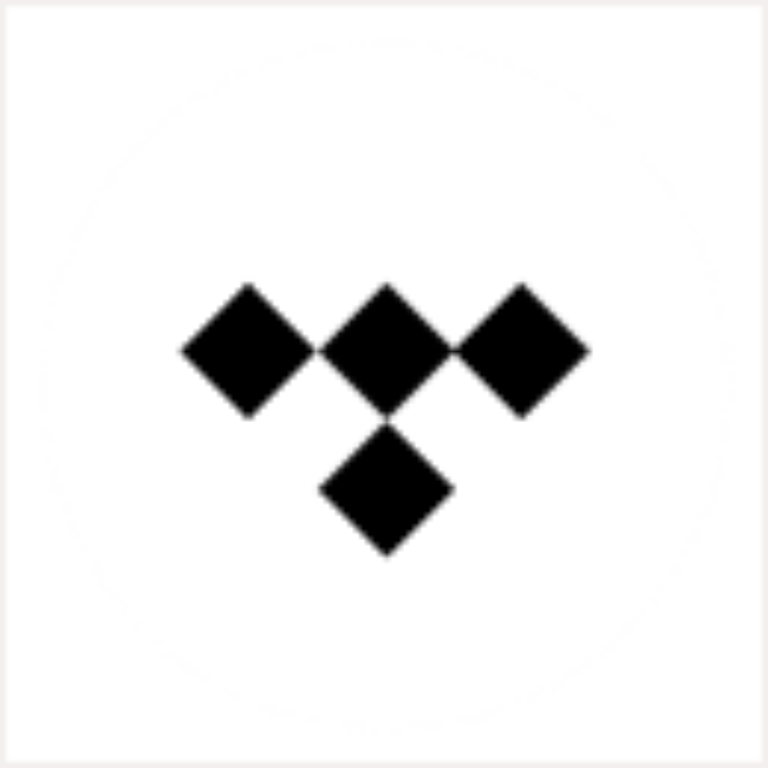 Tidal Music Downloader