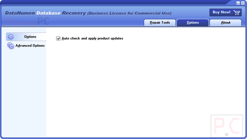 datanumen database recovery option datanumen database recovery option