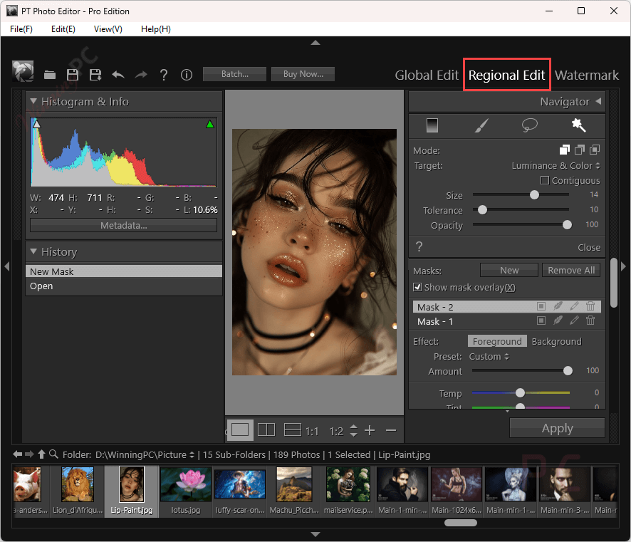 pt photo editor regional edit pt photo editor regional edit