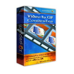 wonderfox video to gif converter WonderFox Video to GIF Converter