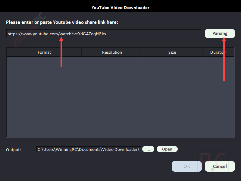 parsing youtube video downloader parsing youtube video downloader
