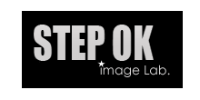 Stepok Image Lab logo