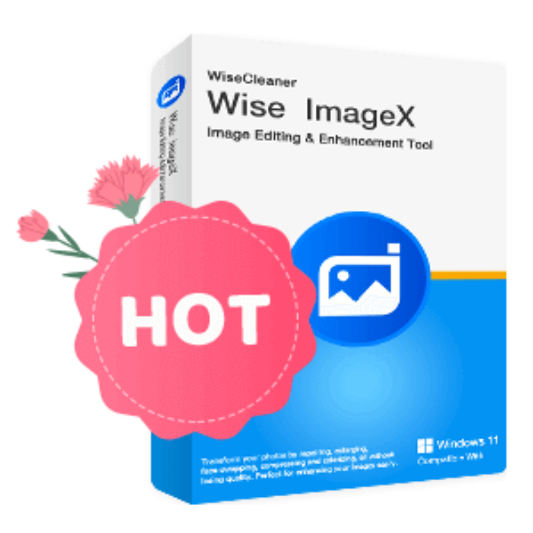 Wise ImageX PRO