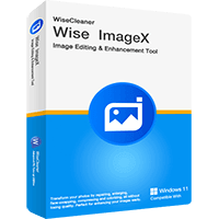 Wise ImageX (1 year subscription)