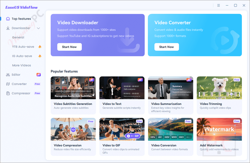 EaseUS Videflow 