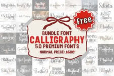 Calligraphy Font Bundle Giveaway Download