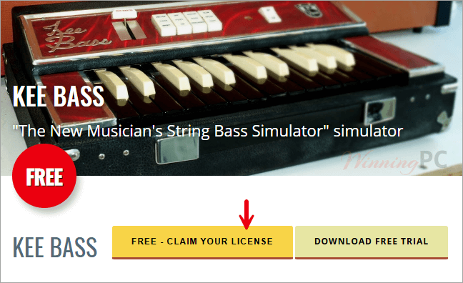 martinic kee bass free license martinic kee bass free license