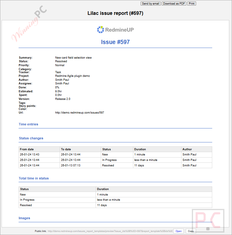 redmine reporter plugin coupon main screenshot Redmine Reporter Plugin