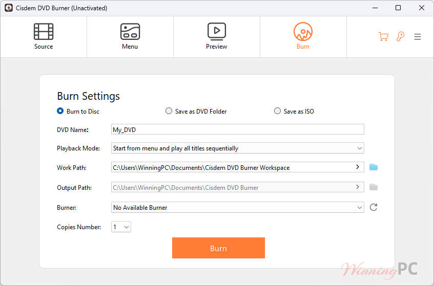 cisdem dvd burner burn options