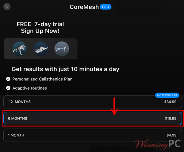 coremesh calisthenics choose giveaway plan coremesh calisthenics choose giveaway plan