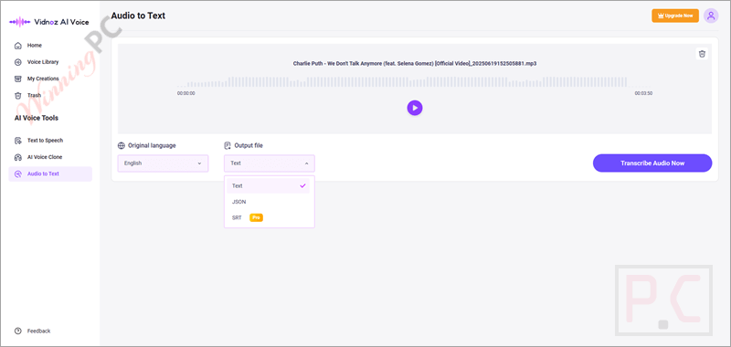vidnoz ai voice audio to