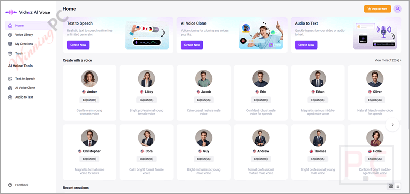 Vidnoz AI Voice 