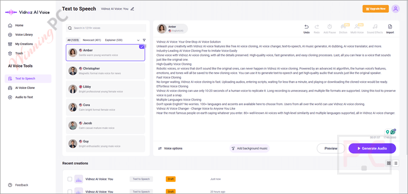 vidnoz ai voice text to speech