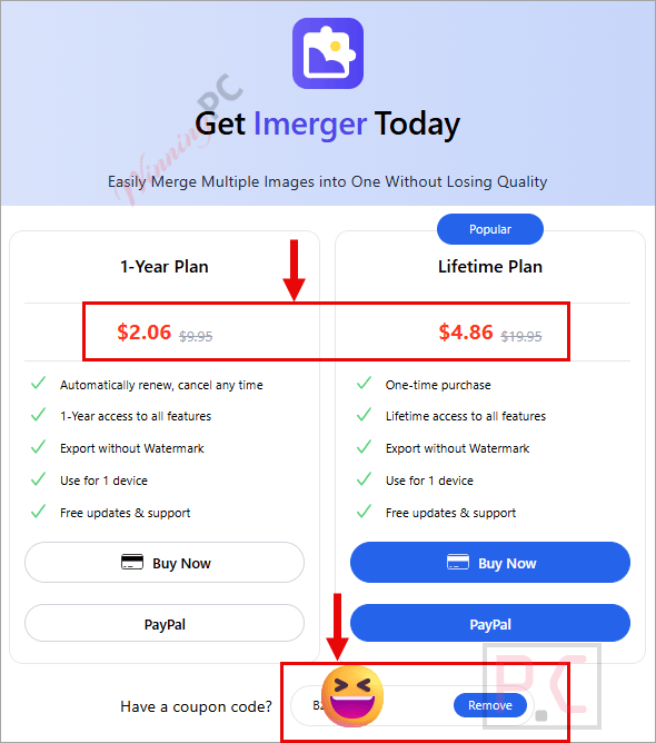 Screenshot of Imerger  checkout page showing the discounted price. 
