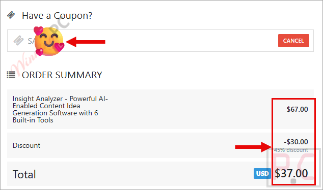insight analyzer checkout page with coupon Insight Analyzer coupon code applied successfully