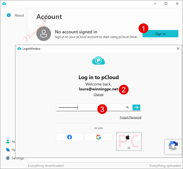 sign in pcloud premium