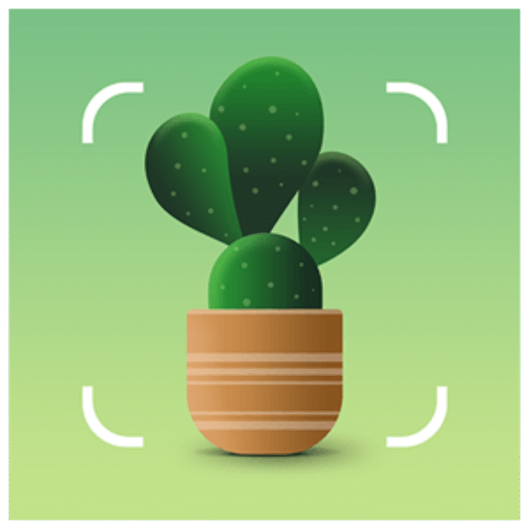 Plantum - AI Plant Identifier